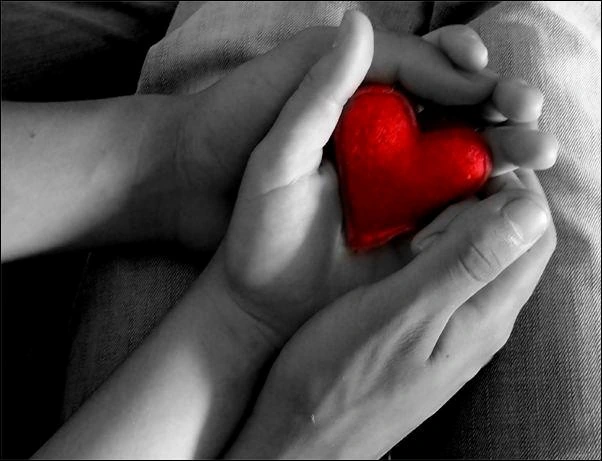 Piccolo cuore rosso custodito fra due mani